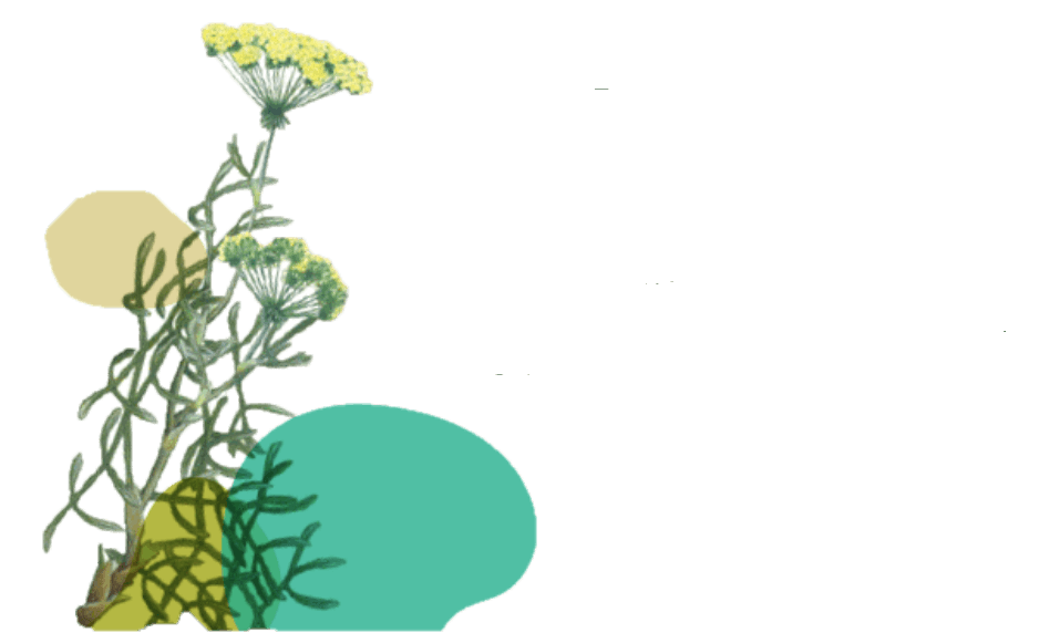 Ilustración de plantas con manchas de color para la zona de contacto