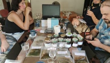 Cata de las maceraciones alcohólicas elaboradas durante el Trabajo Final de Grado