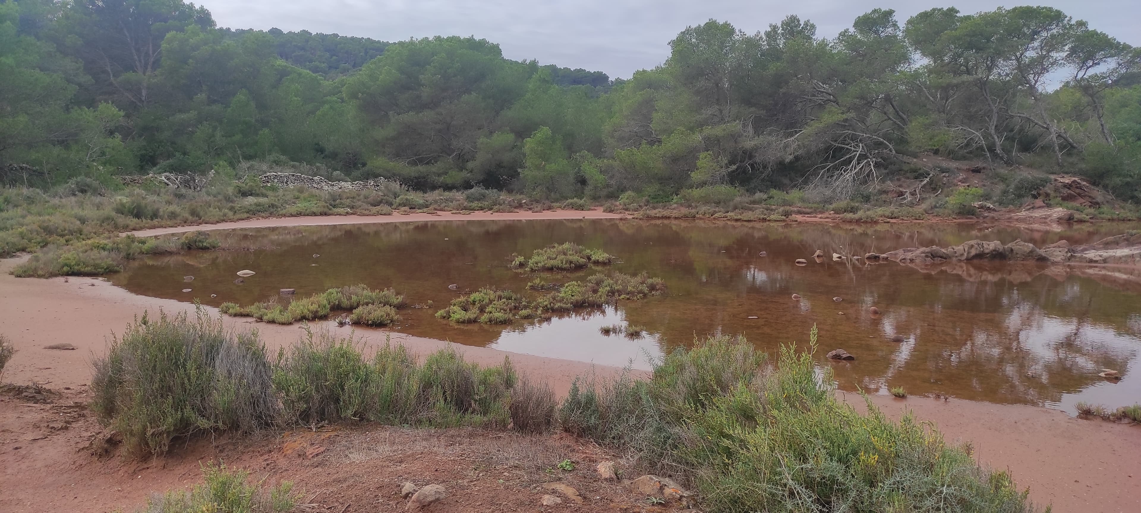 Zona húmeda de Addaia, Menorca, visitada durante el trabajo de campo