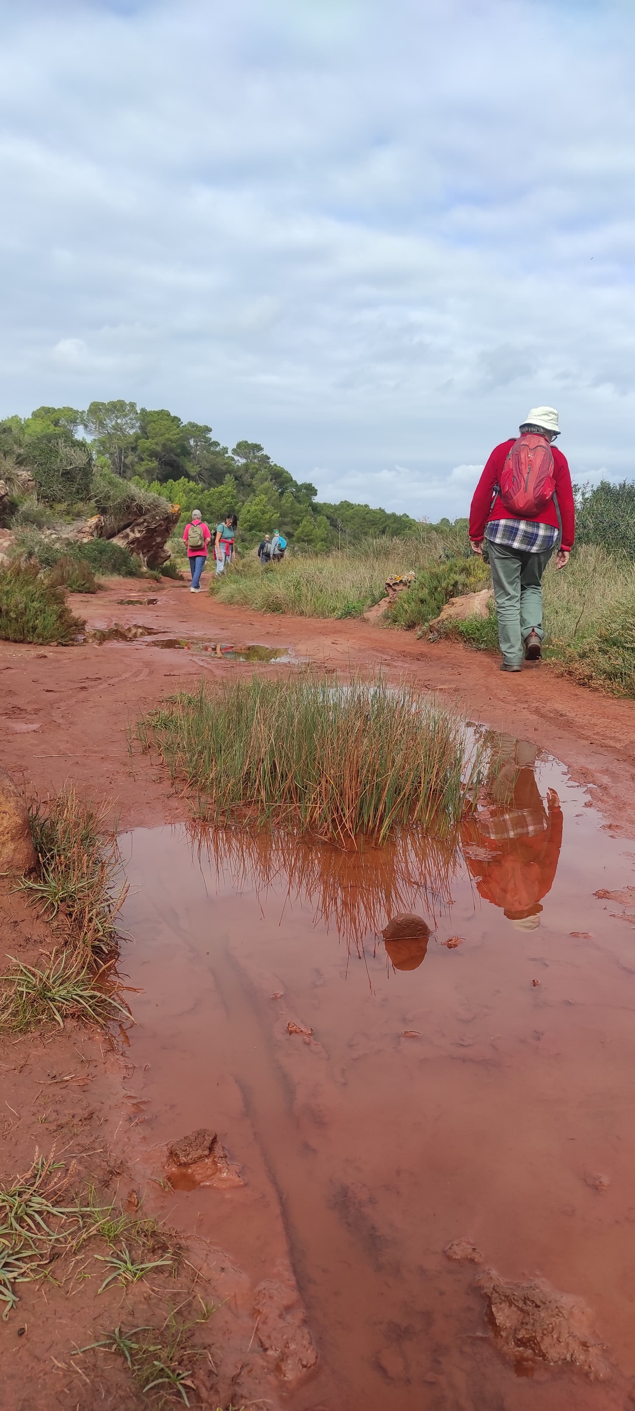 Recorrido de campo por un ambiente húmedo de Addaia