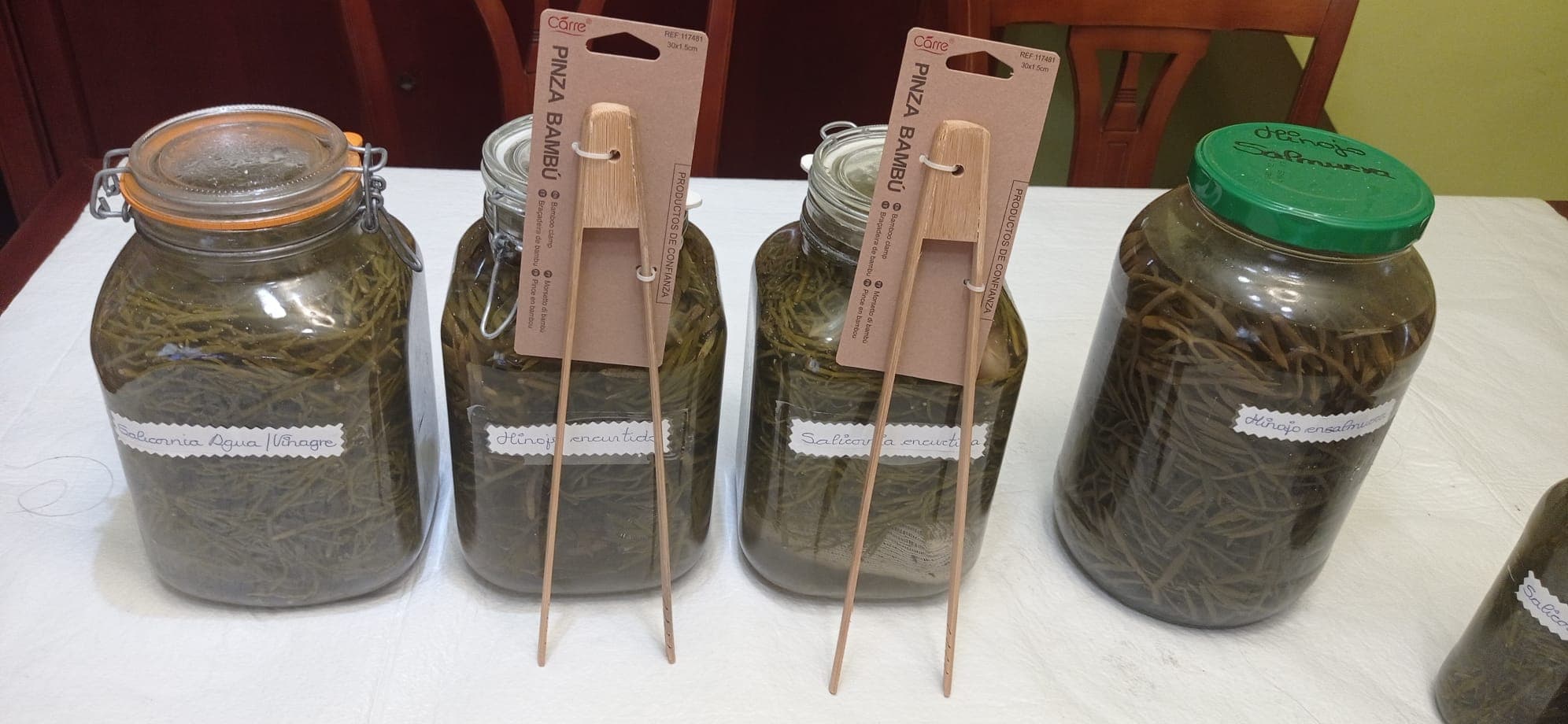 Transformaciones y conservas de plantas costeras utilizadas durante la actividad