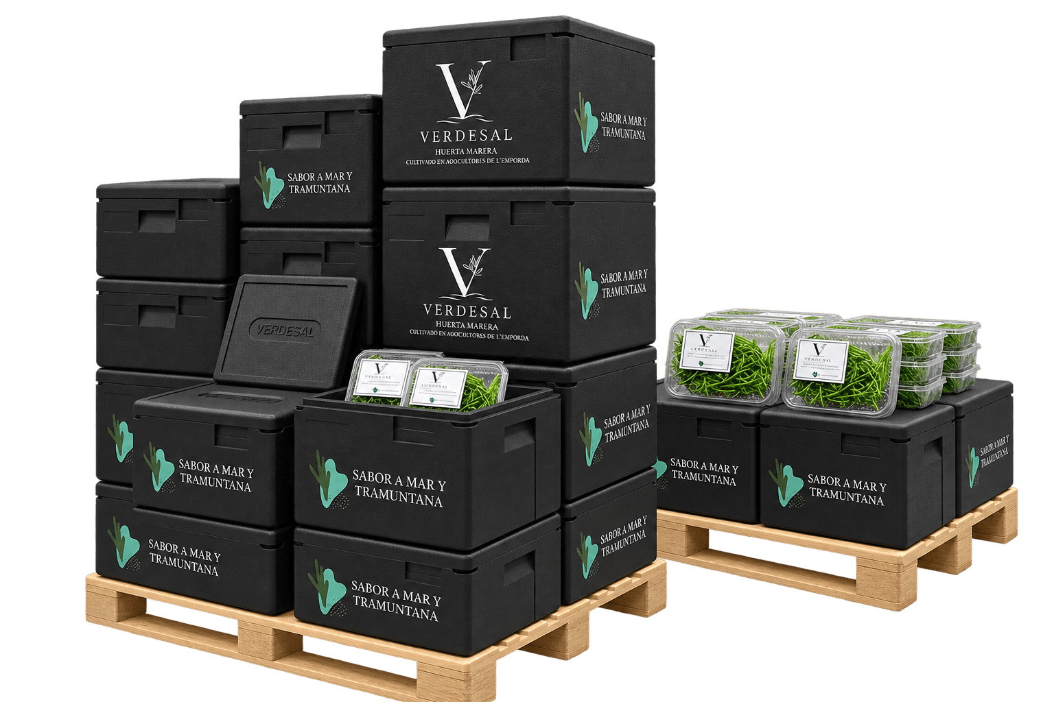 Palets y cajas isotérmicas de VERDESAL