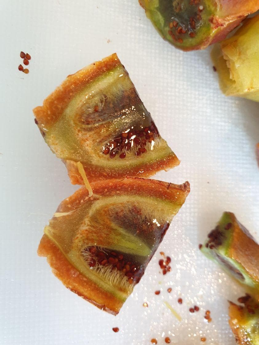 Frutos maduros de higo marino preparados para elaborar el dulce